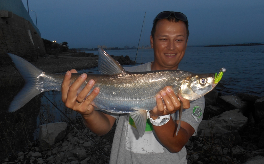 DSCN3847.JPG