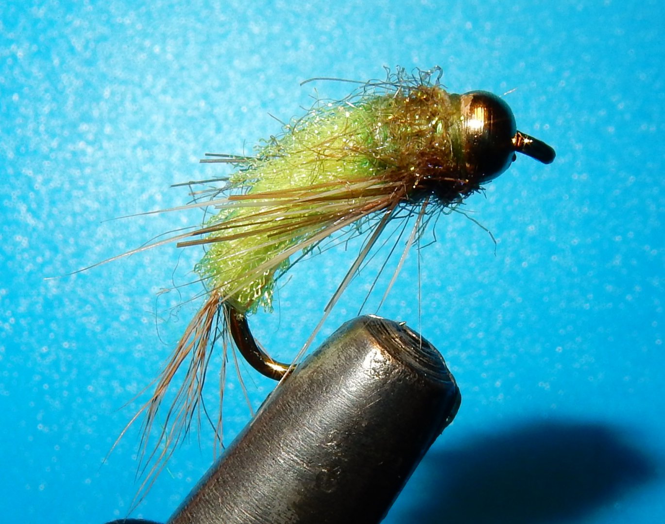 DSCN4691.JPG
