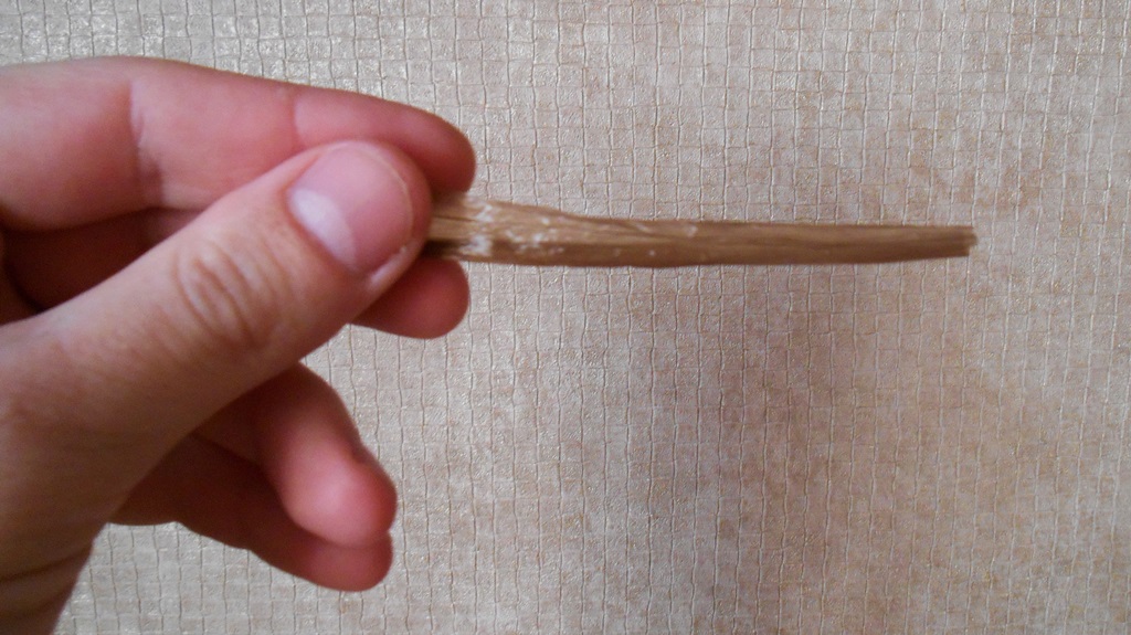 DSCN5052.JPG