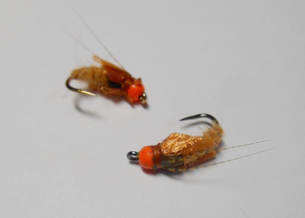 DSCN5118.JPG