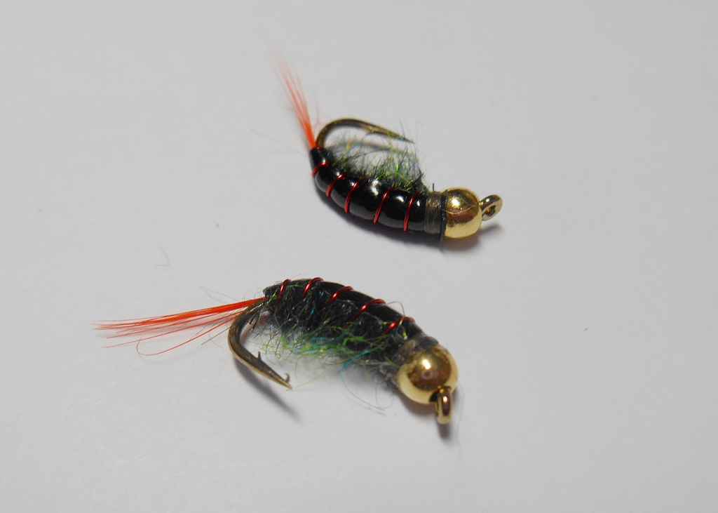 DSCN5120.JPG