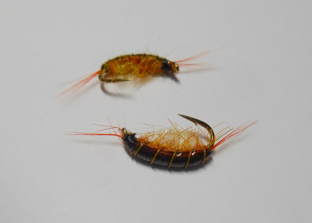 DSCN5122.JPG
