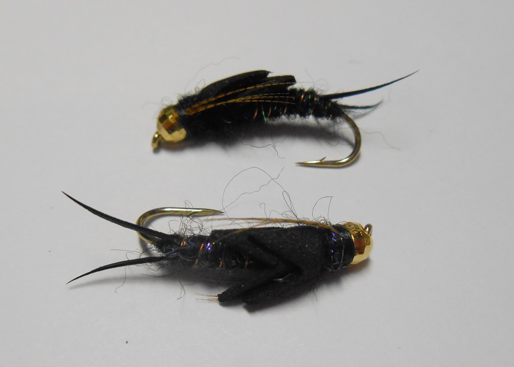 DSCN5124.JPG
