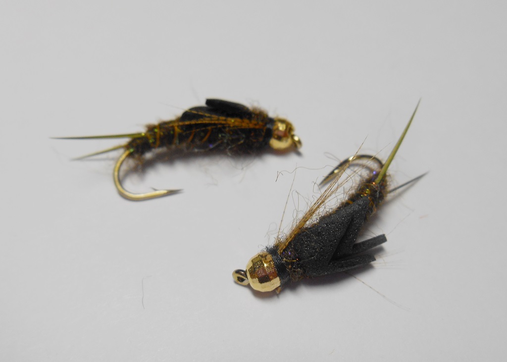 DSCN5126.JPG