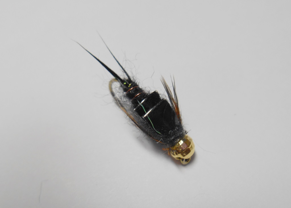 DSCN5127.JPG