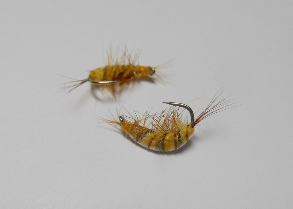 DSCN5131.JPG
