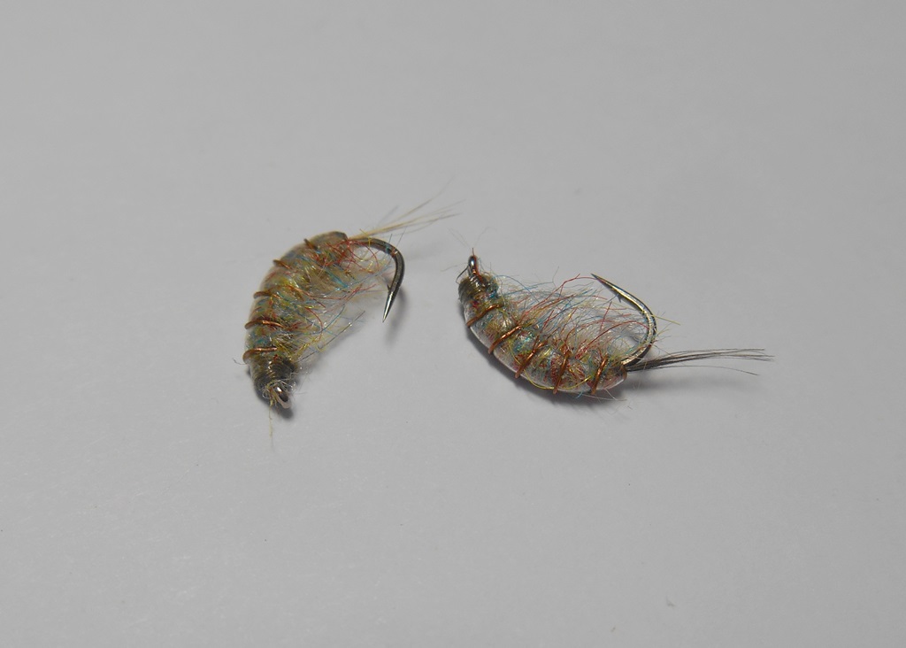 DSCN5133.JPG