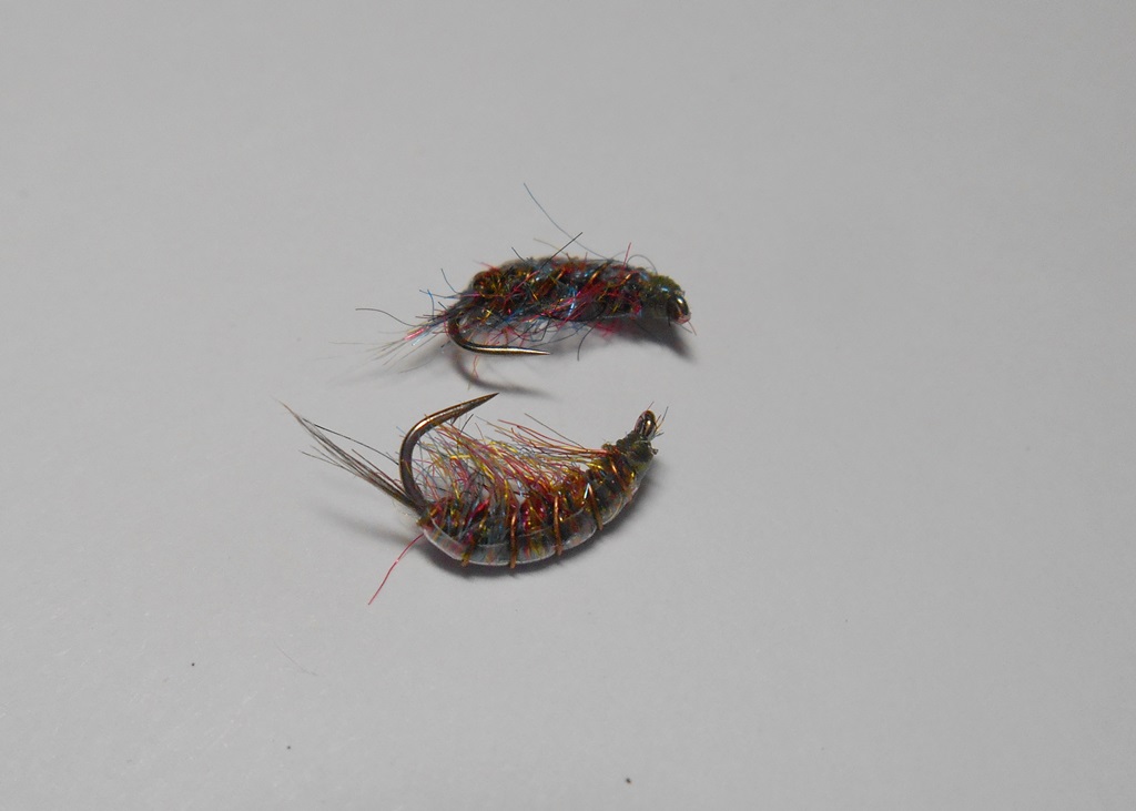 DSCN5135.JPG