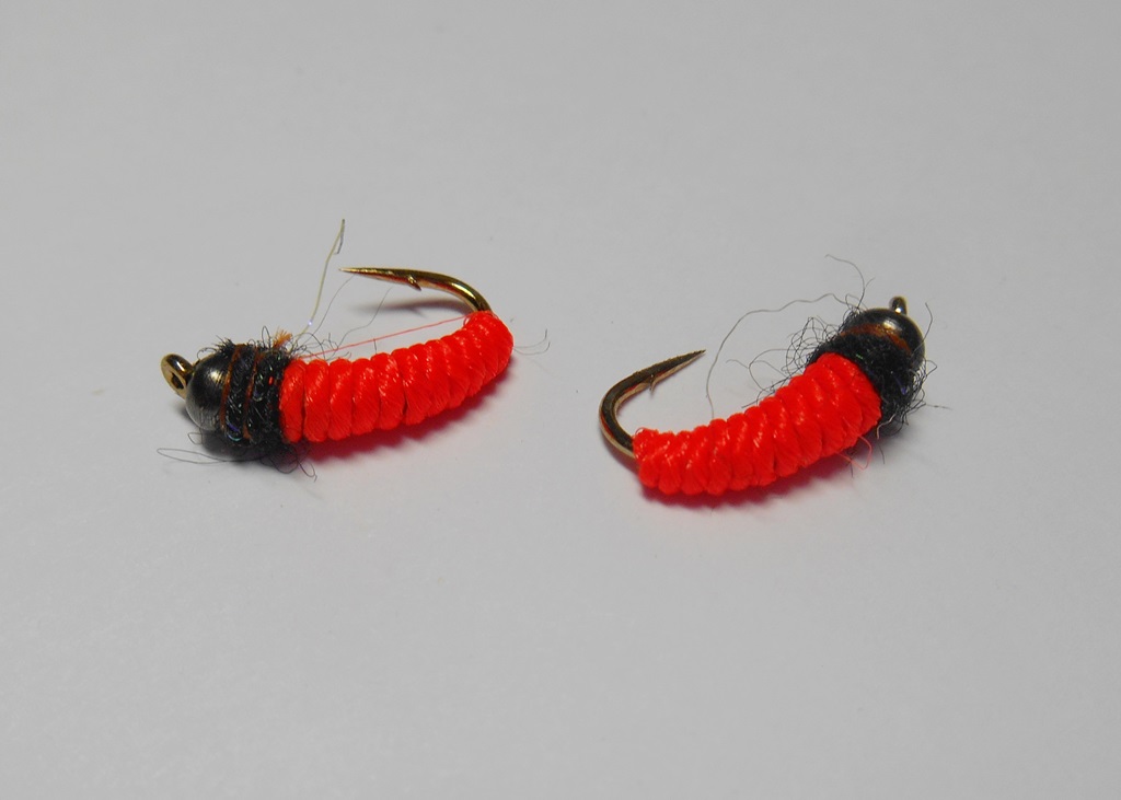 DSCN5141.JPG