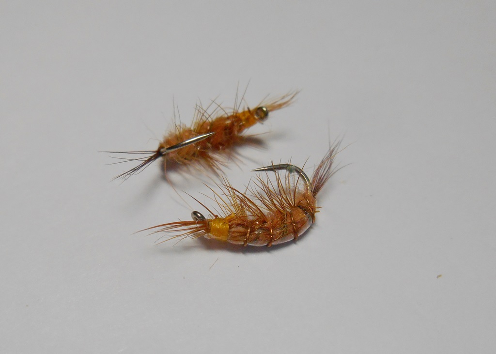 DSCN5144.JPG