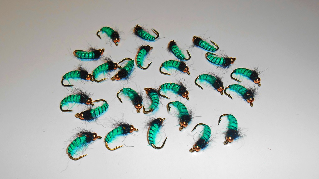 DSCN5188.JPG