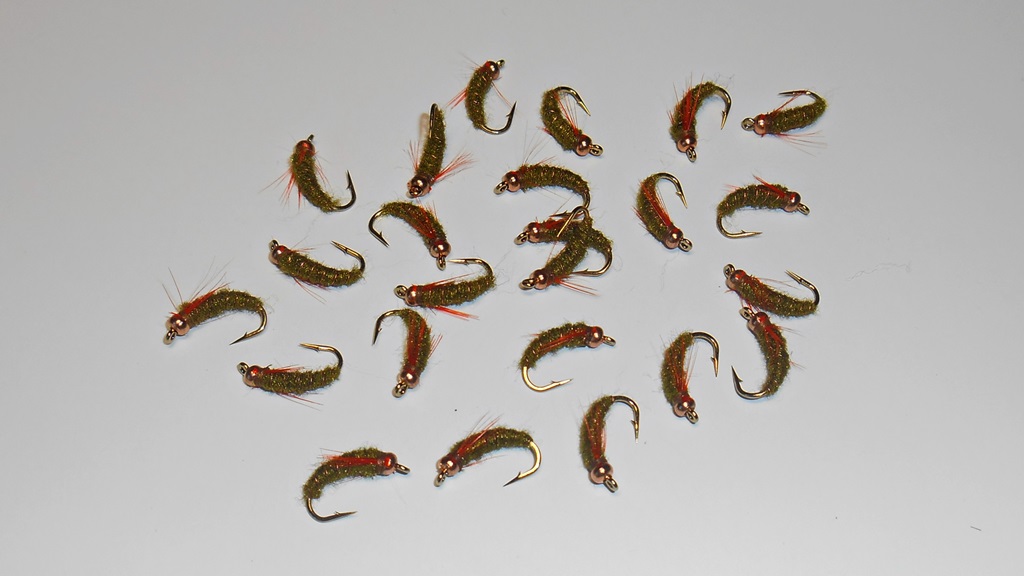 DSCN5193.JPG