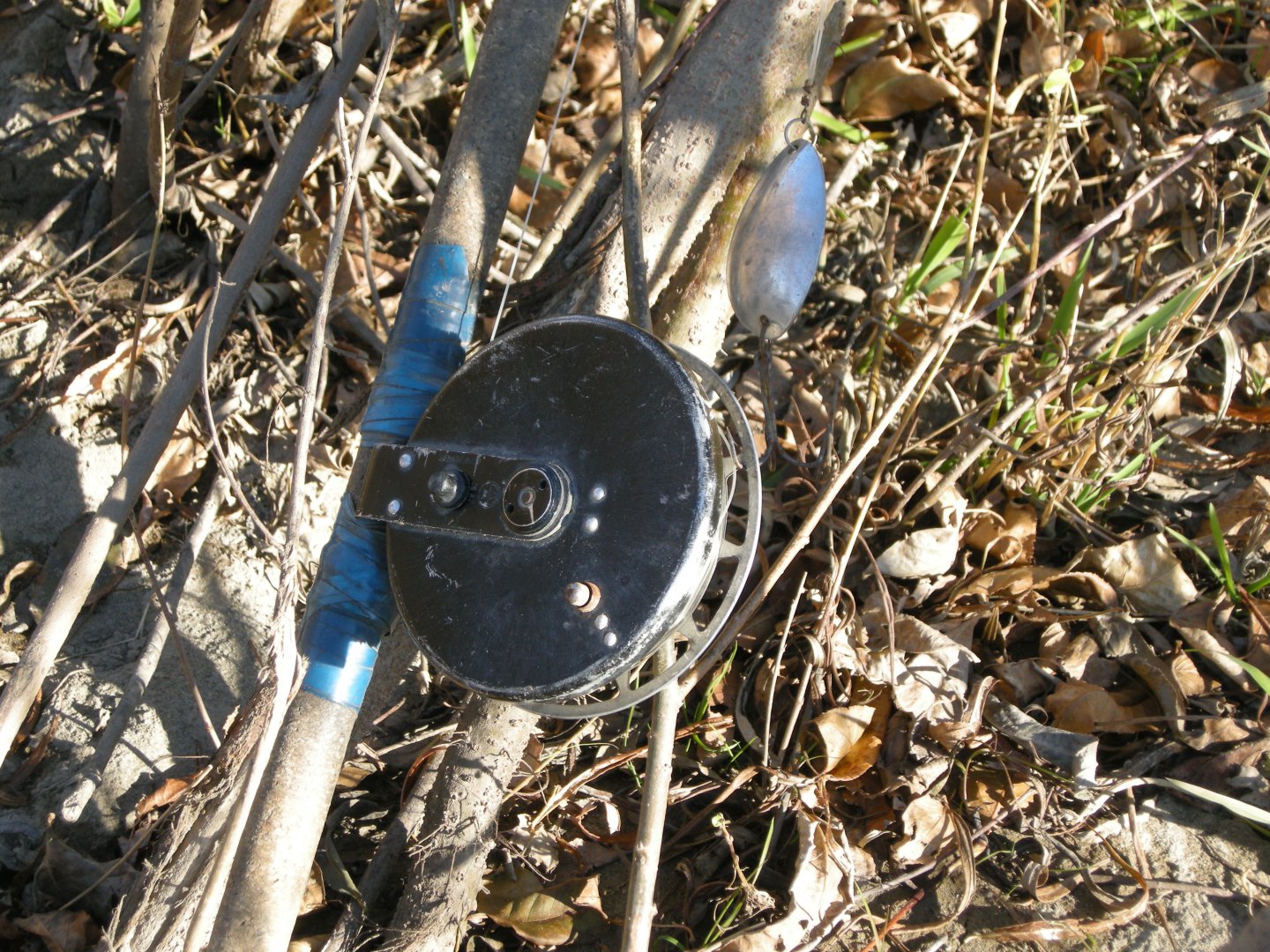 DSCN5658.JPG
