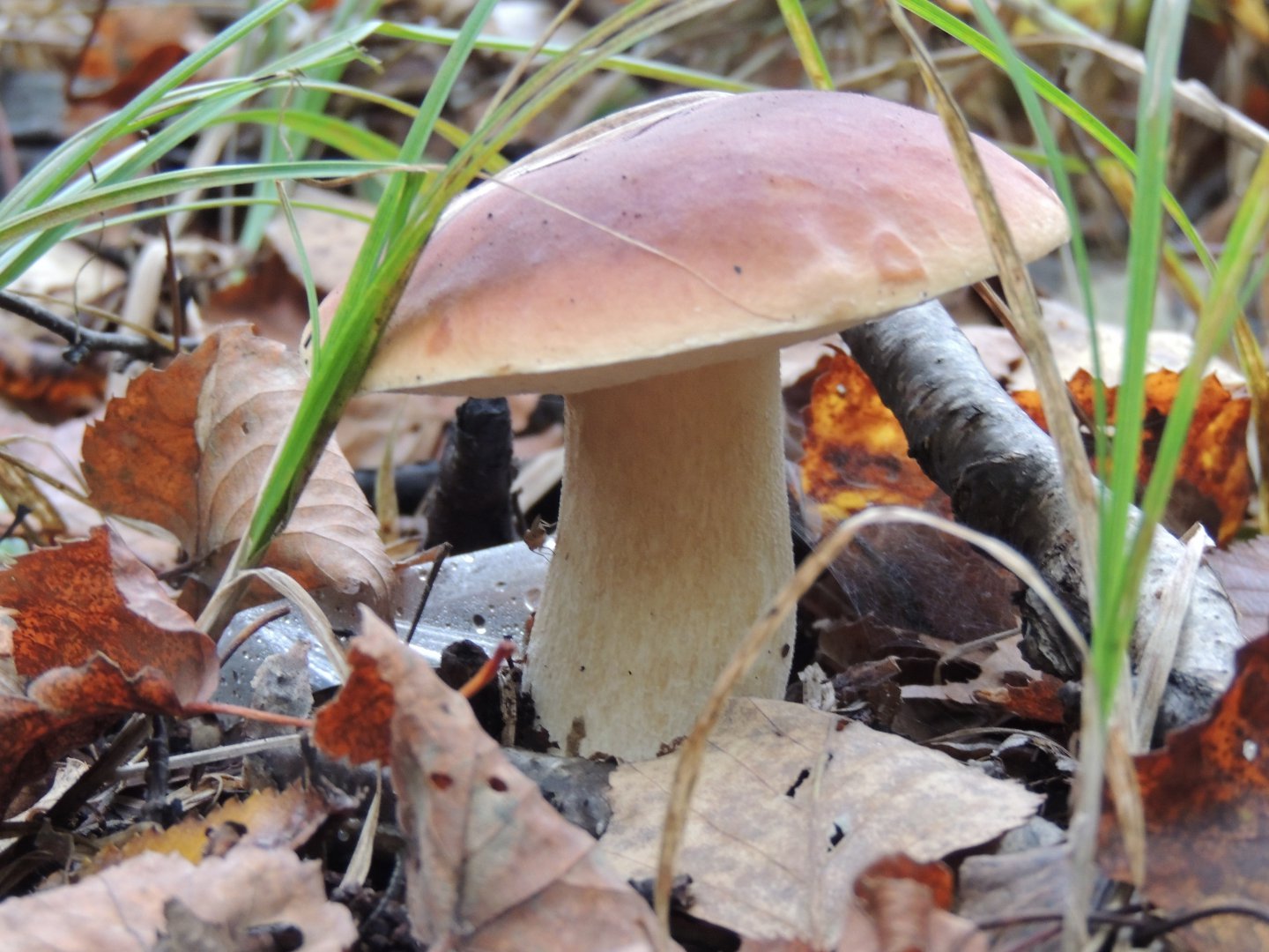 DSCN5898.JPG
