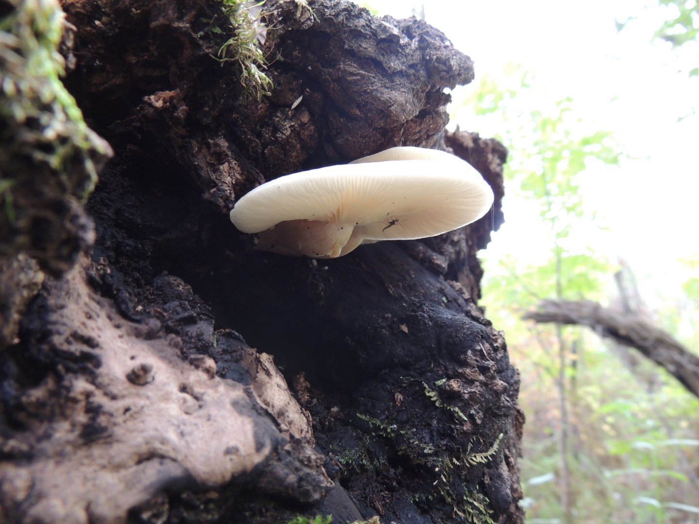 DSCN5932.JPG