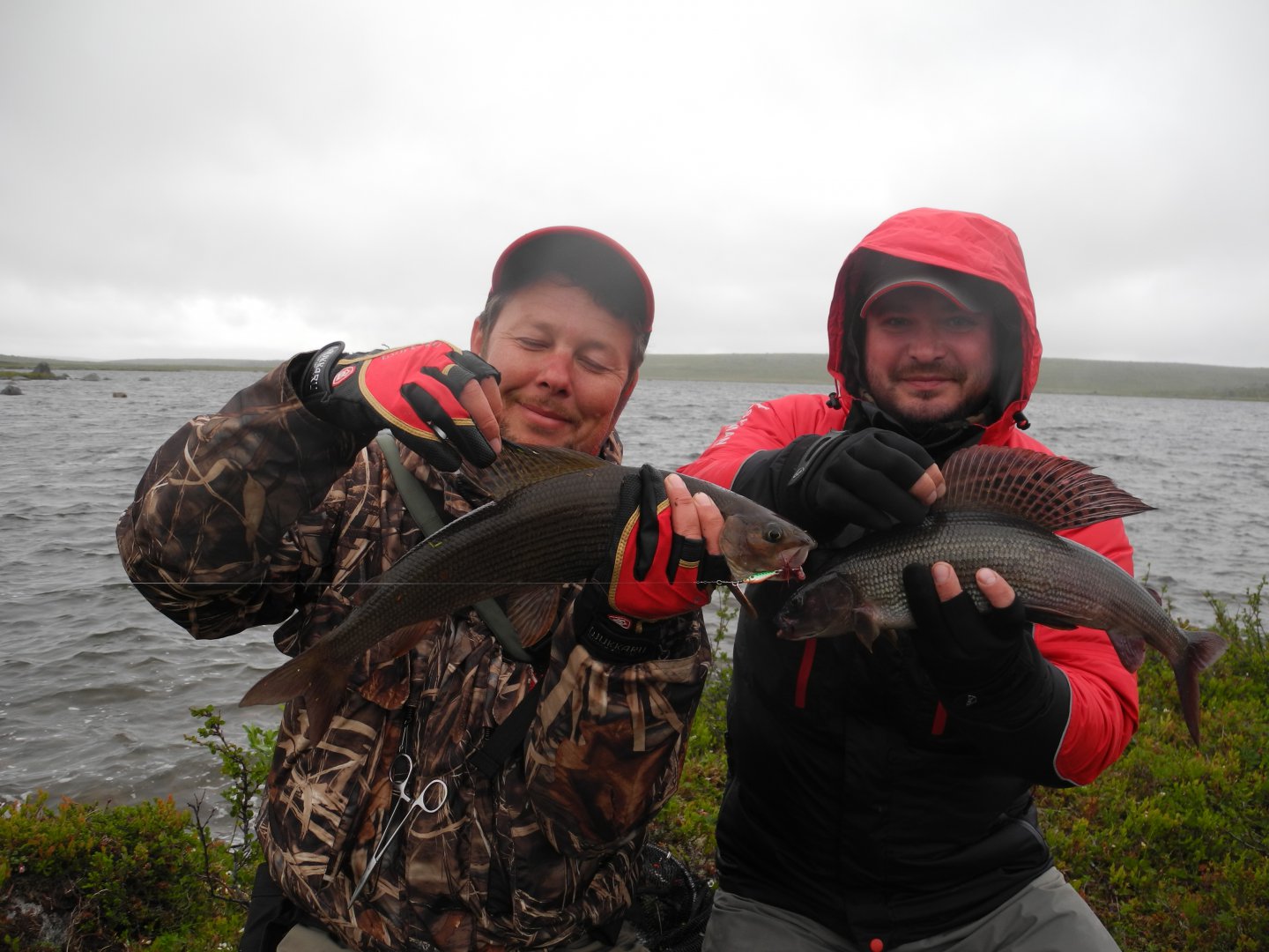 DSCN6175.JPG
