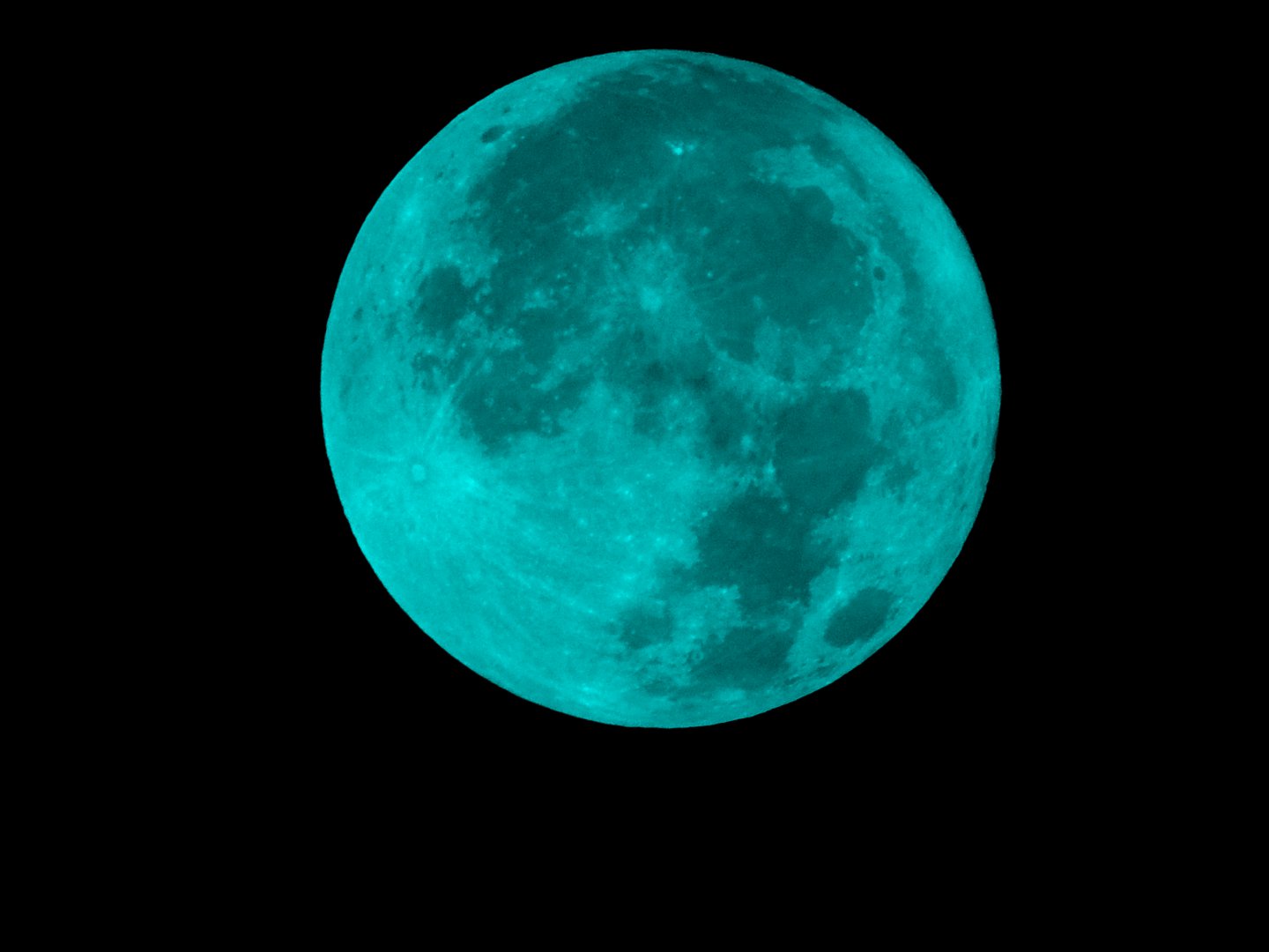 DSCN6181.JPG