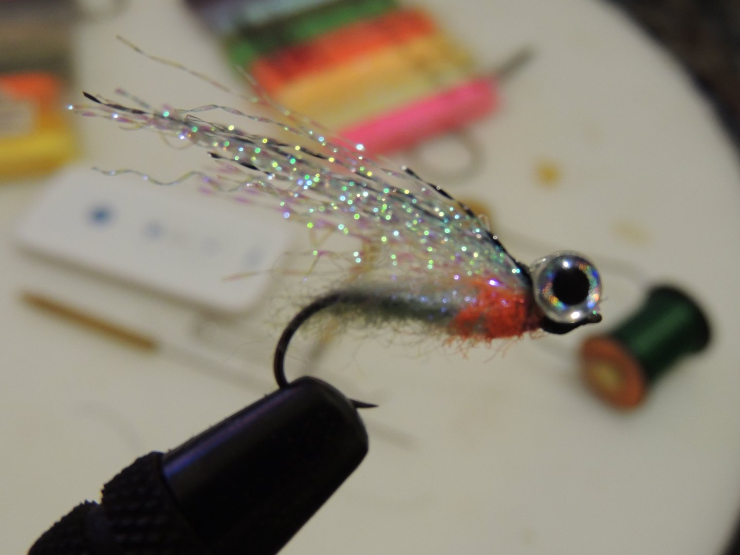 DSCN6298.JPG