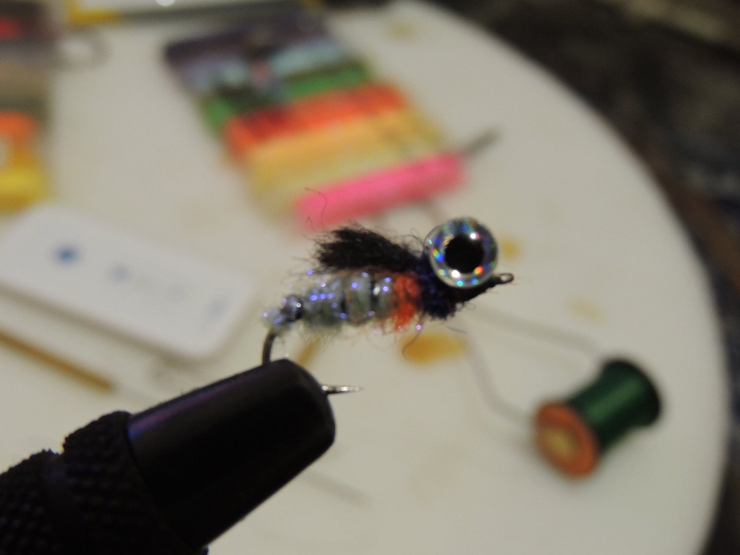 DSCN6302.JPG