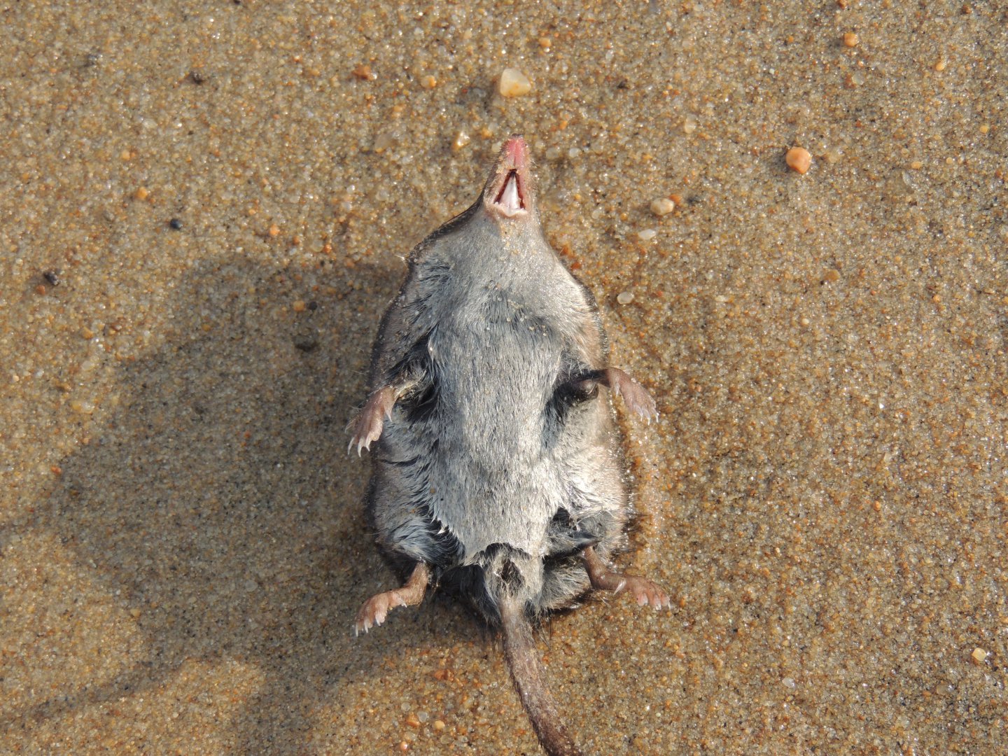 DSCN6317.JPG