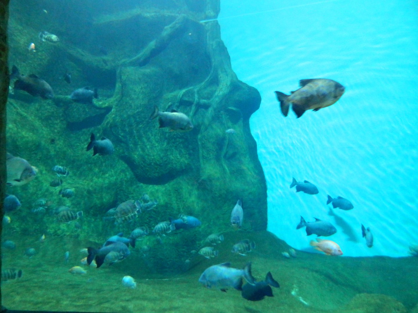 DSCN6514.JPG