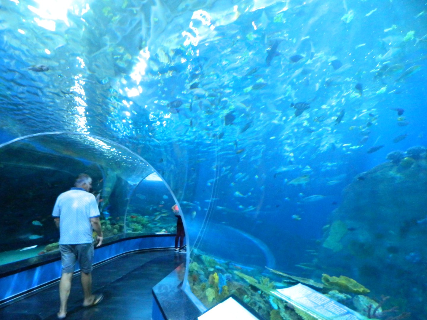 DSCN6519.JPG