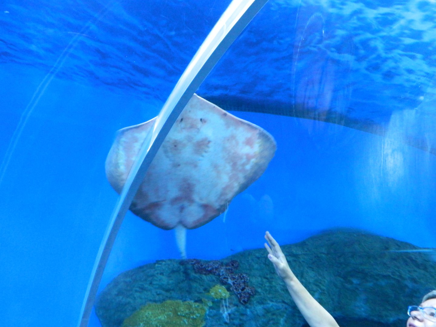 DSCN6536.JPG