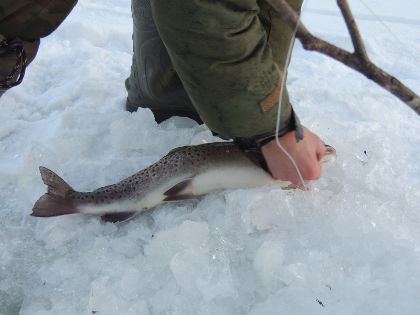 DSCN6556.JPG