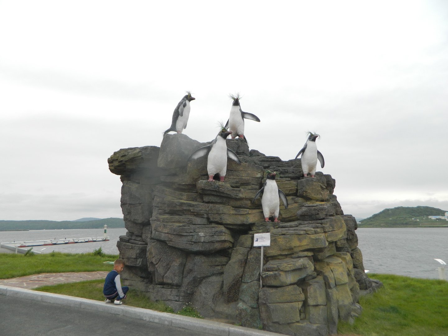 DSCN6559.JPG