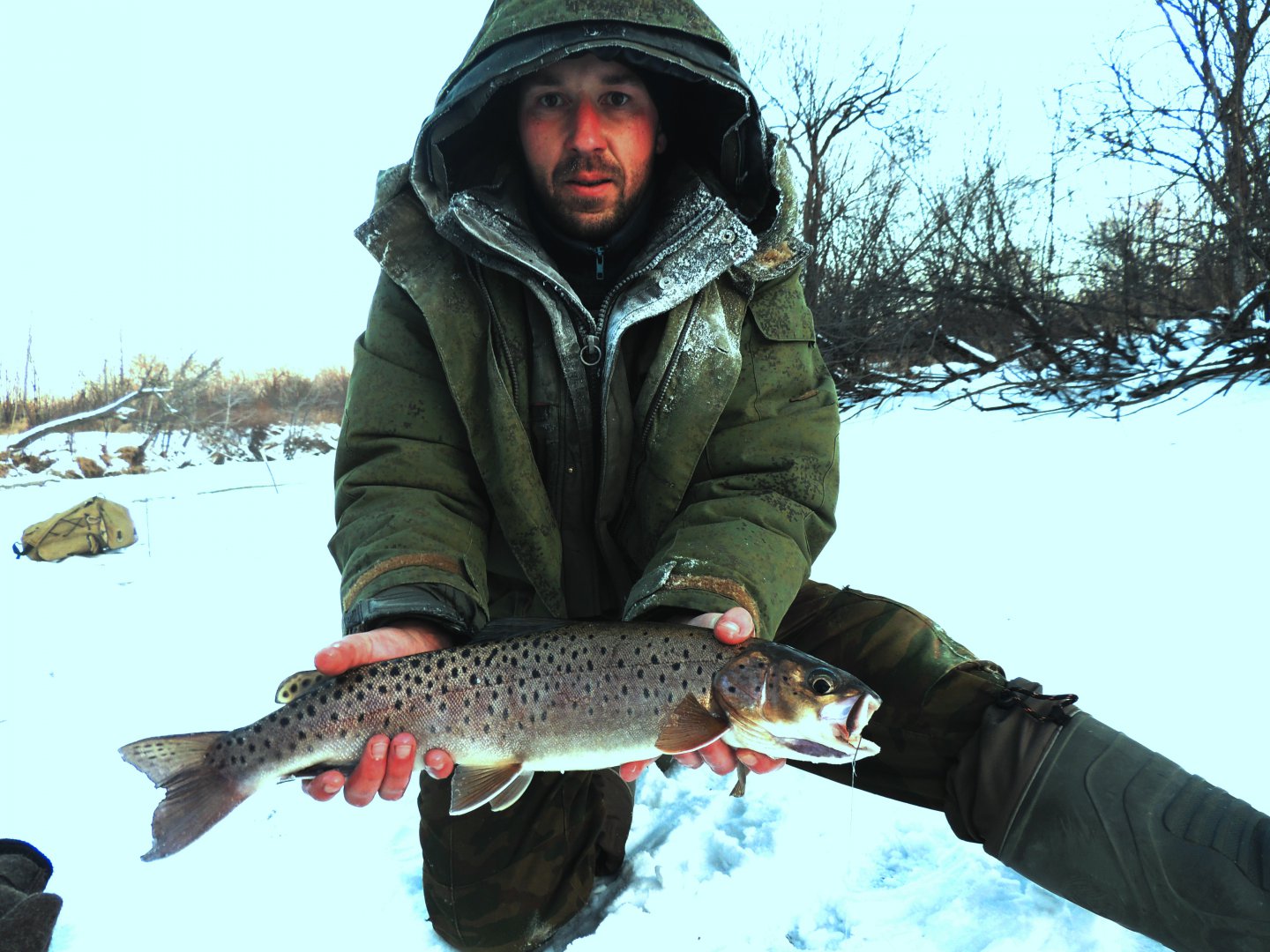 DSCN6559.JPG