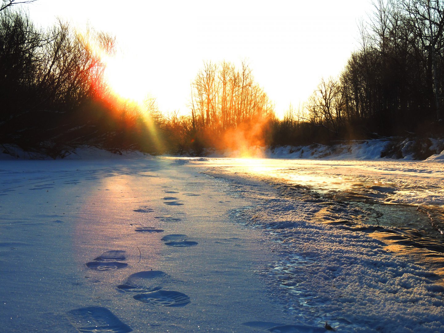 DSCN6560.JPG