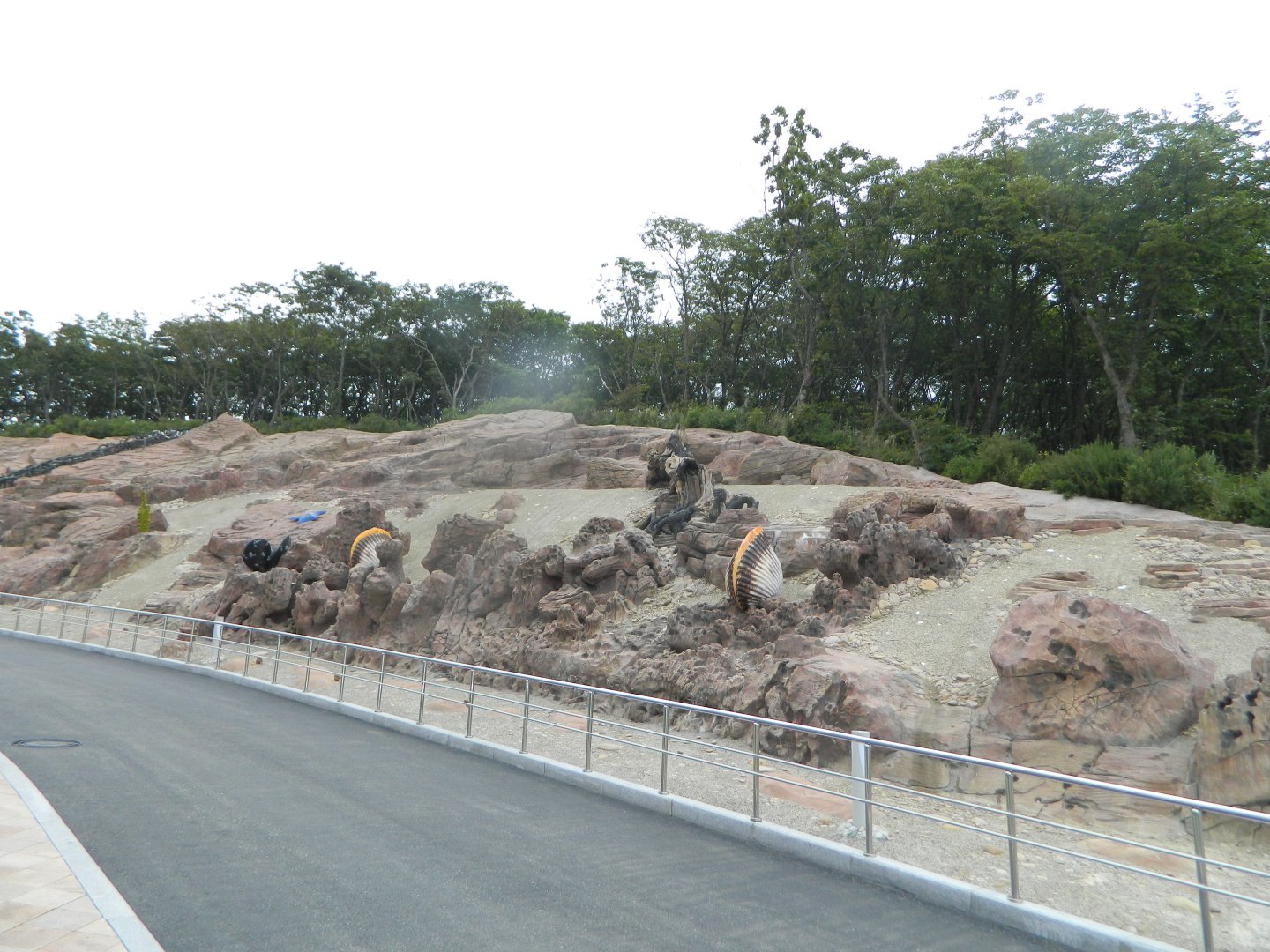 DSCN6561.JPG