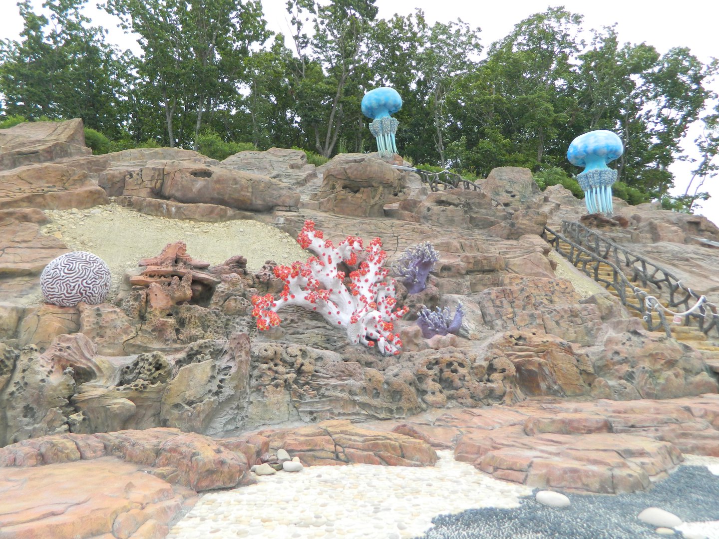 DSCN6570.JPG