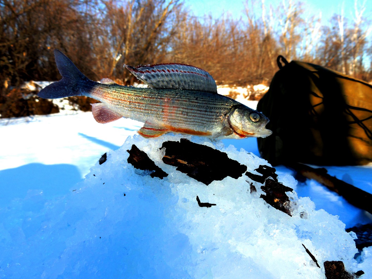 DSCN6571.JPG