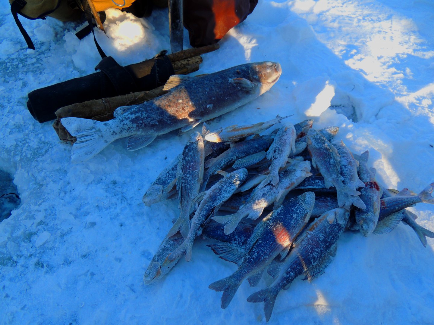 DSCN6580.JPG