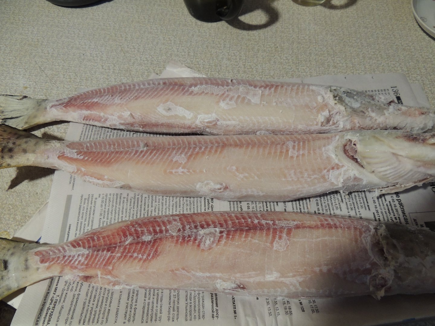 DSCN6729.JPG