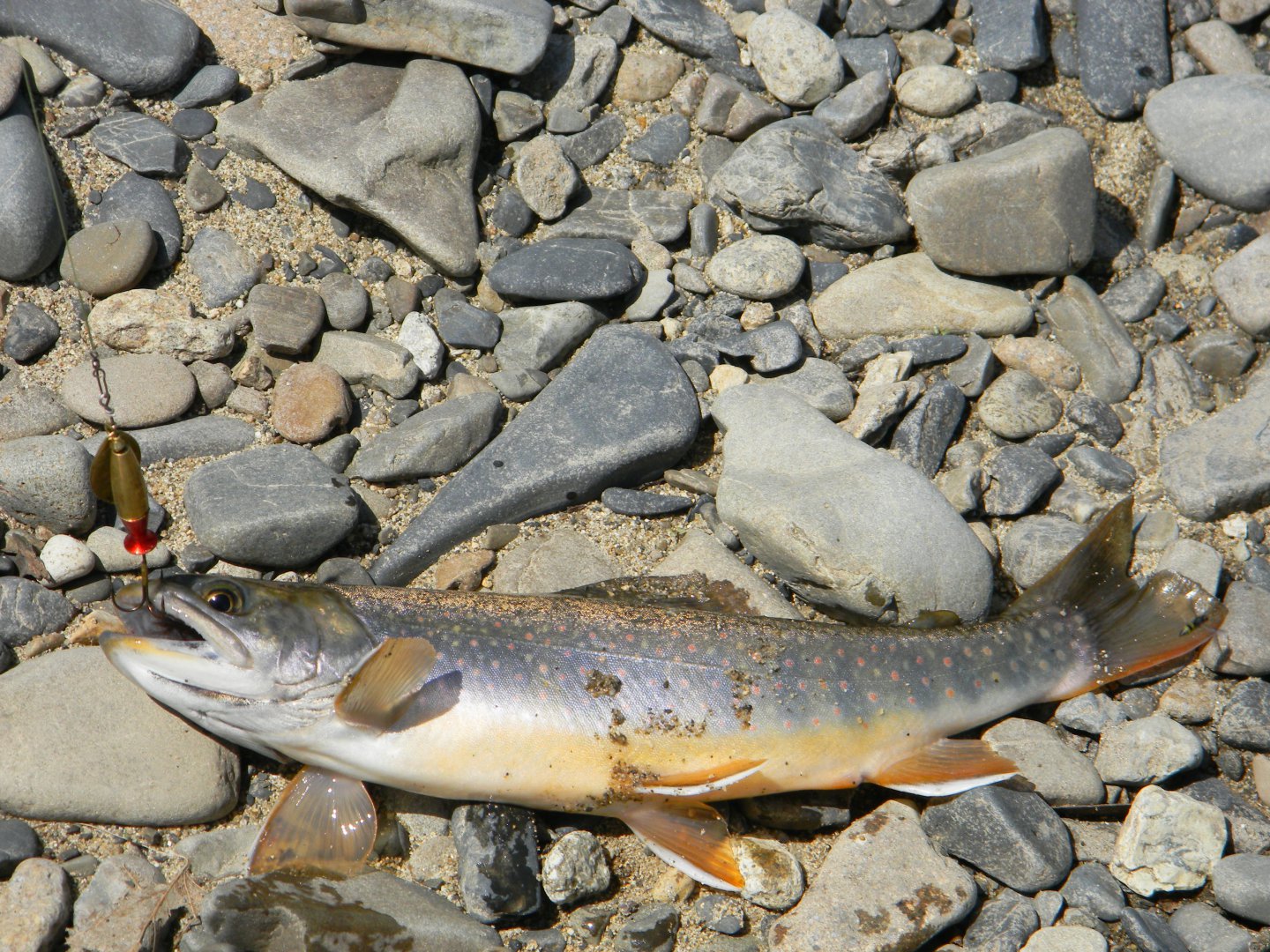 DSCN6891.JPG