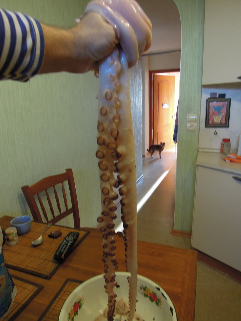 DSCN7108.JPG