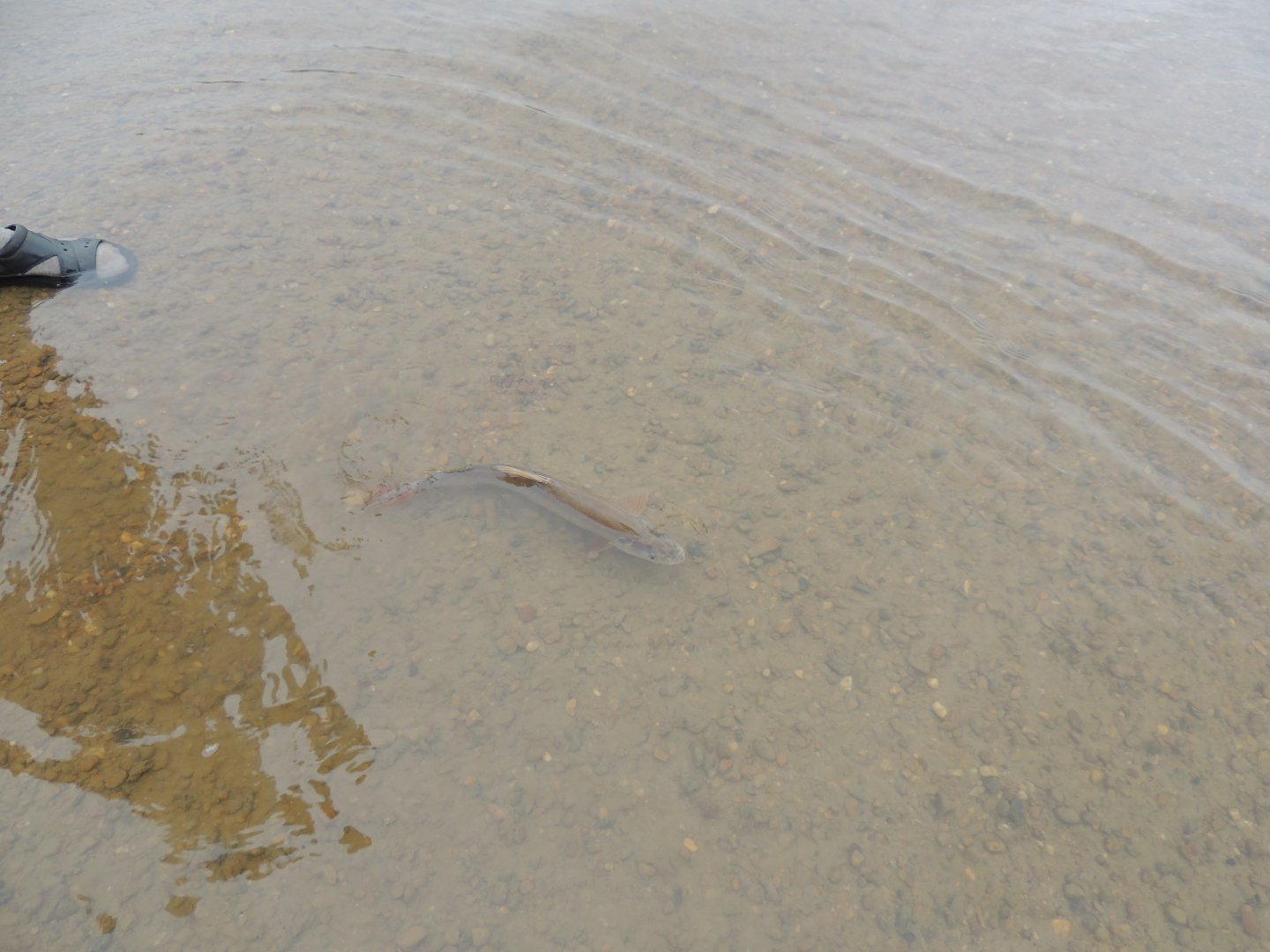 DSCN7318.JPG