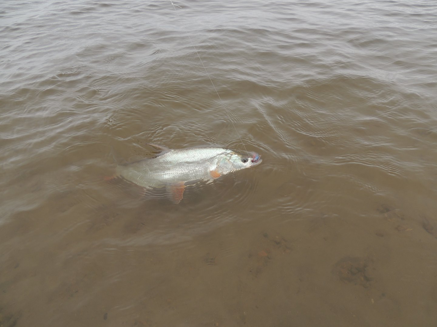 DSCN7326.JPG