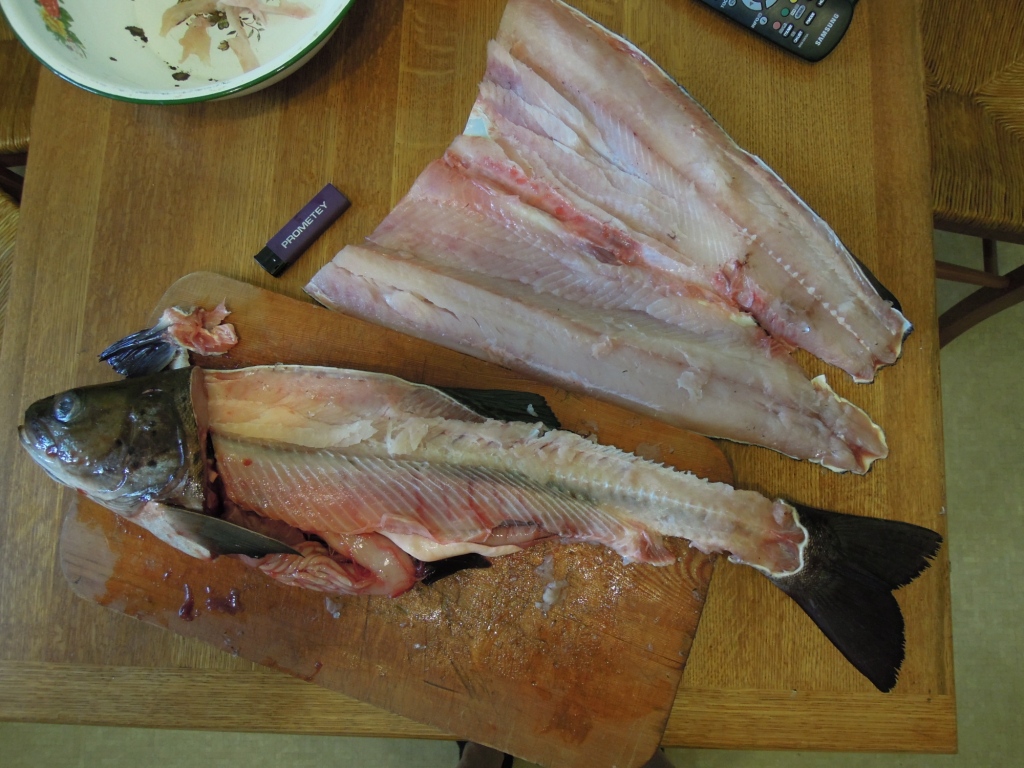 DSCN7330.JPG