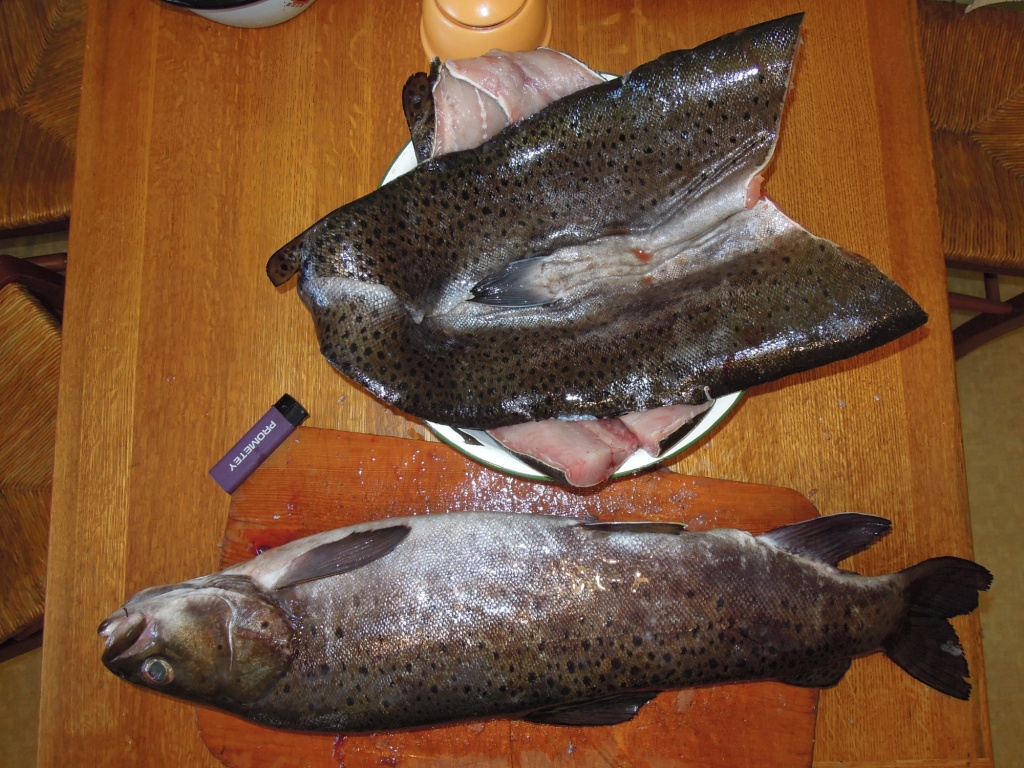 DSCN7332.JPG