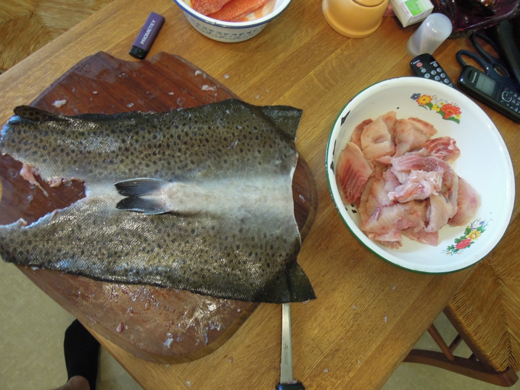 DSCN7336.JPG