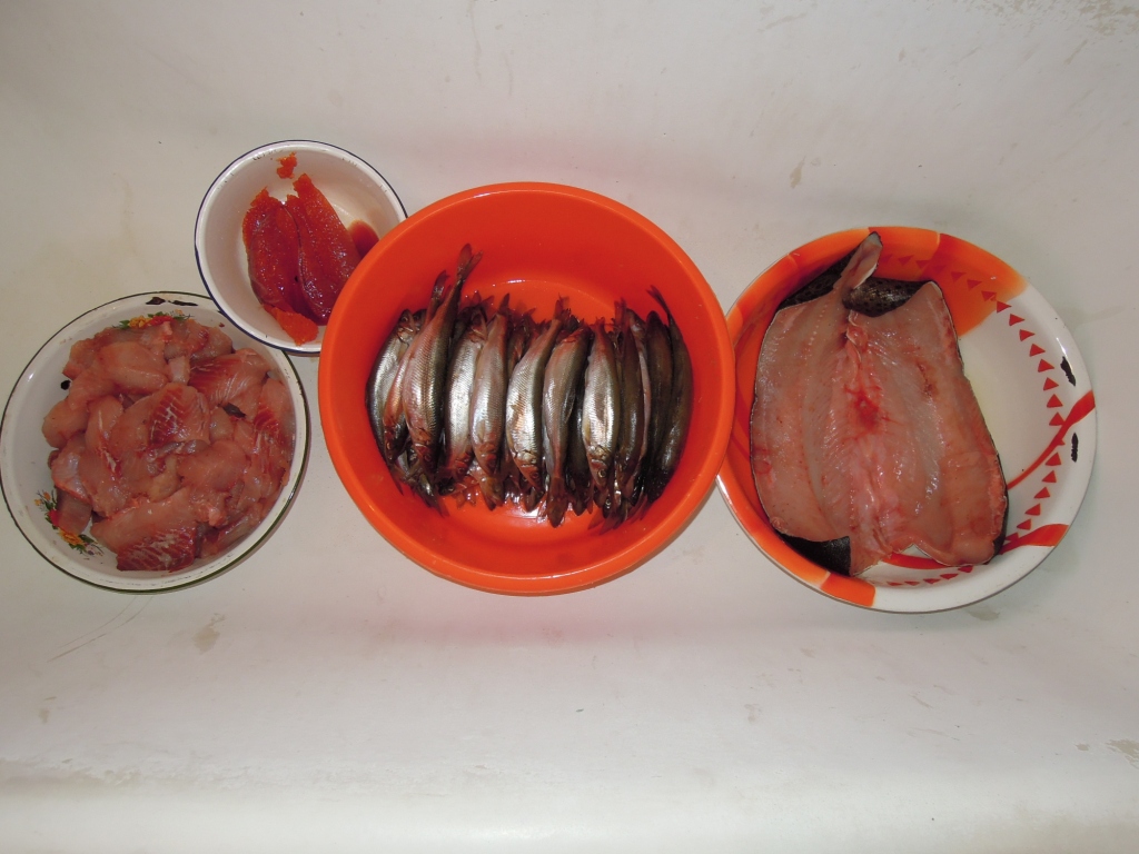 DSCN7337.JPG