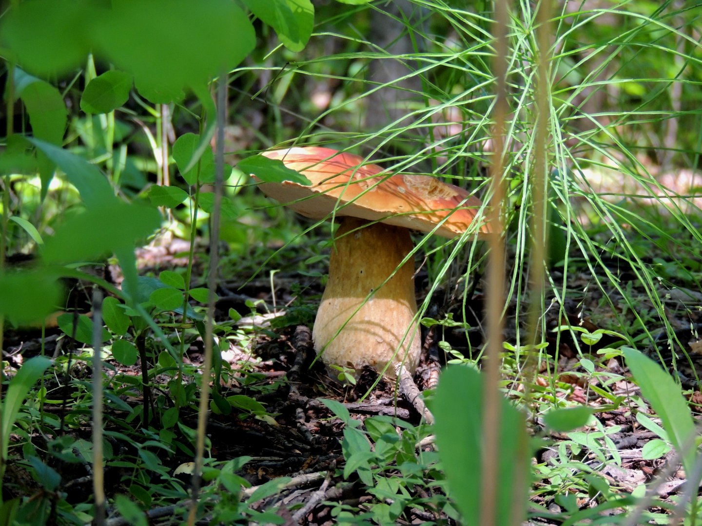 DSCN7361.JPG