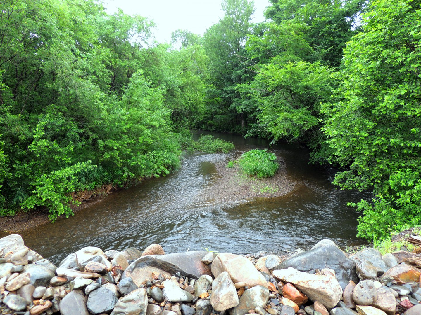DSCN7373.JPG