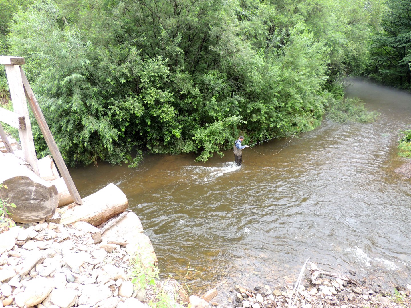 DSCN7438.JPG