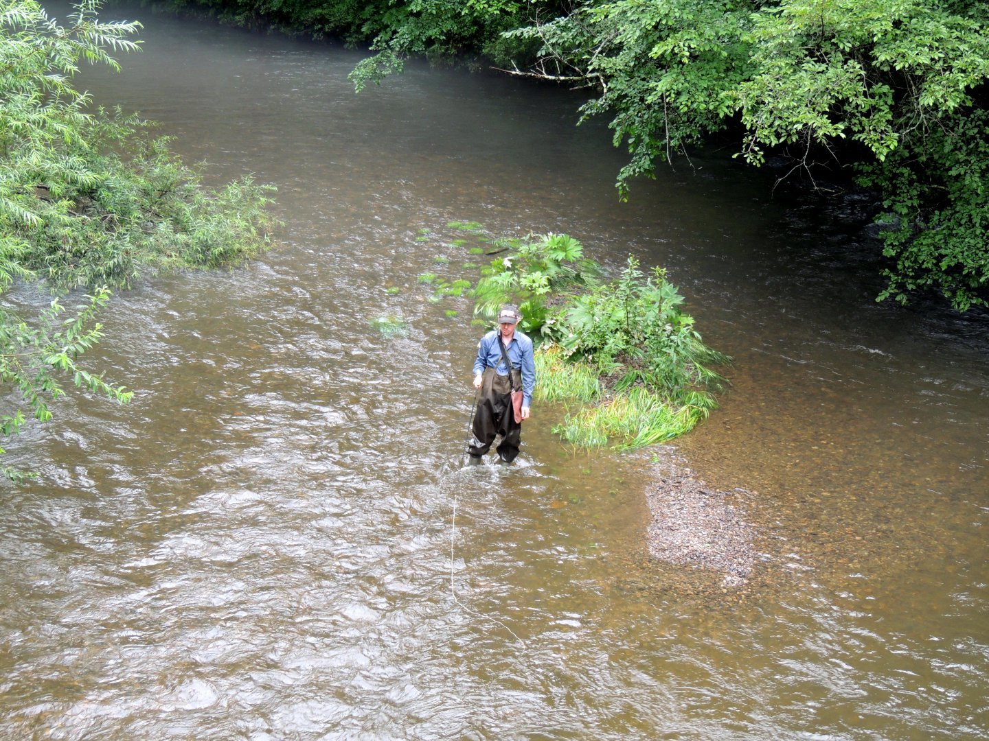 DSCN7439.JPG