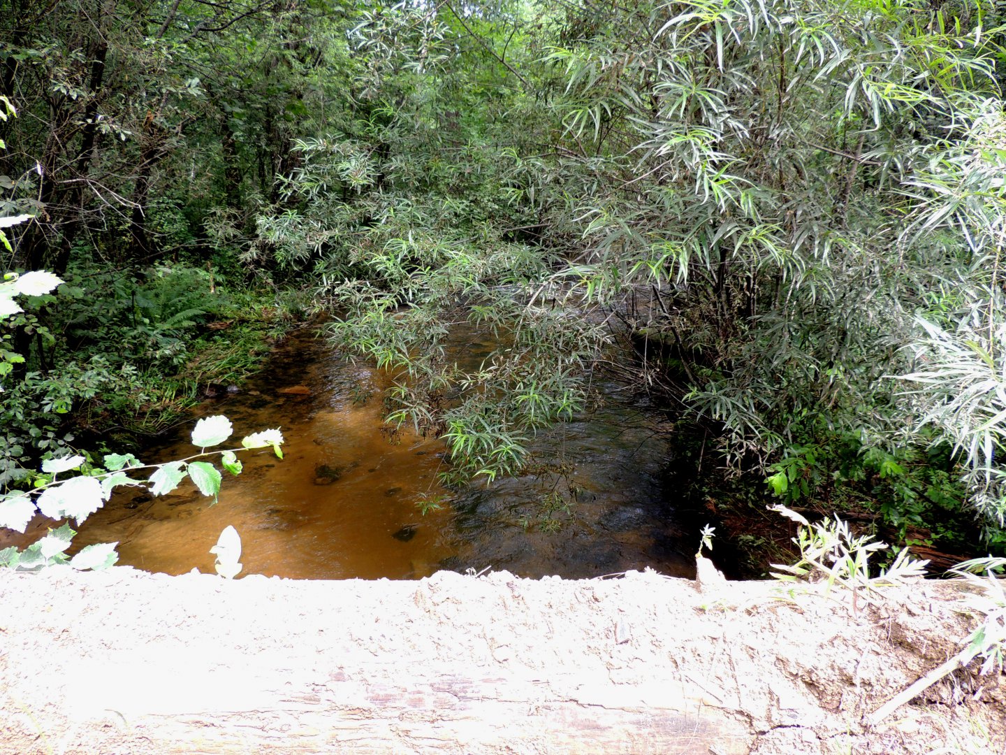 DSCN7447.JPG
