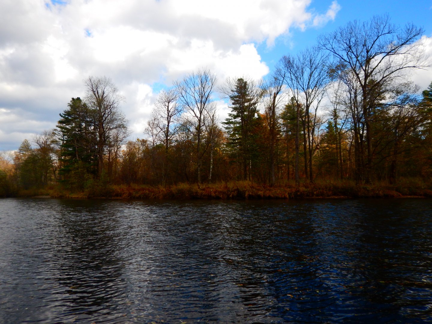 DSCN7557.JPG